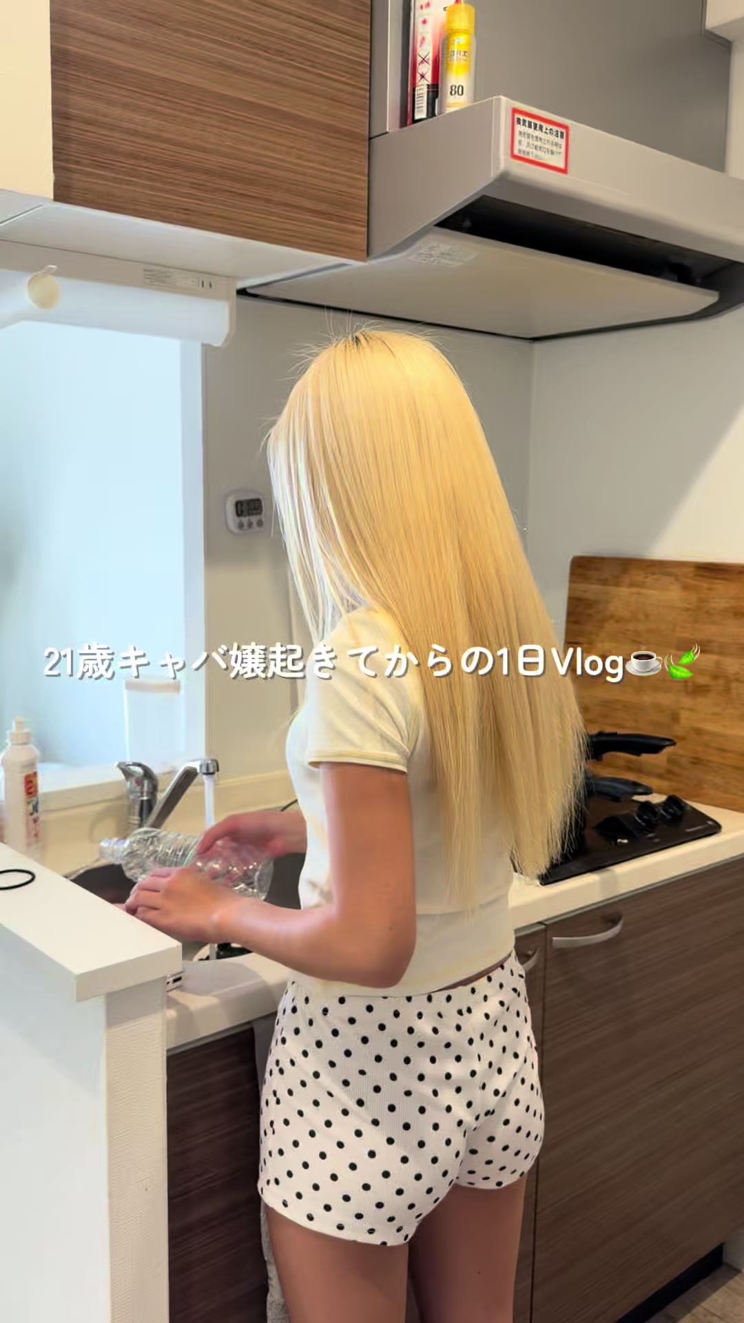 一条 葵