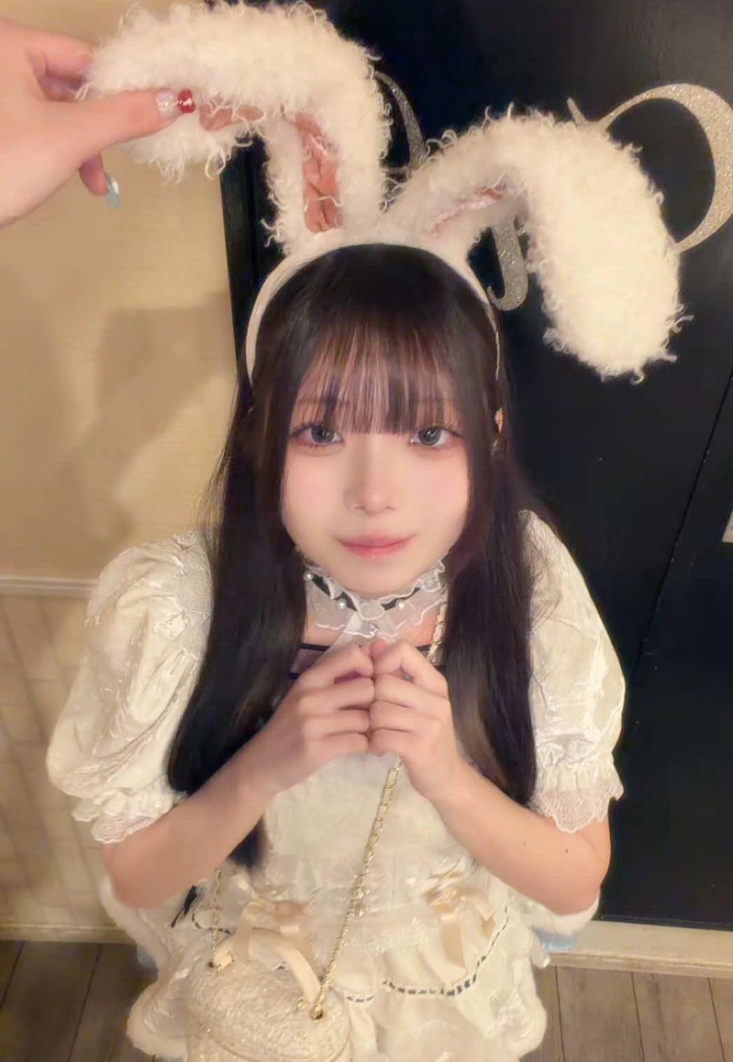 Cafe＆Bar Doll's Cafe ホットニュース 234773