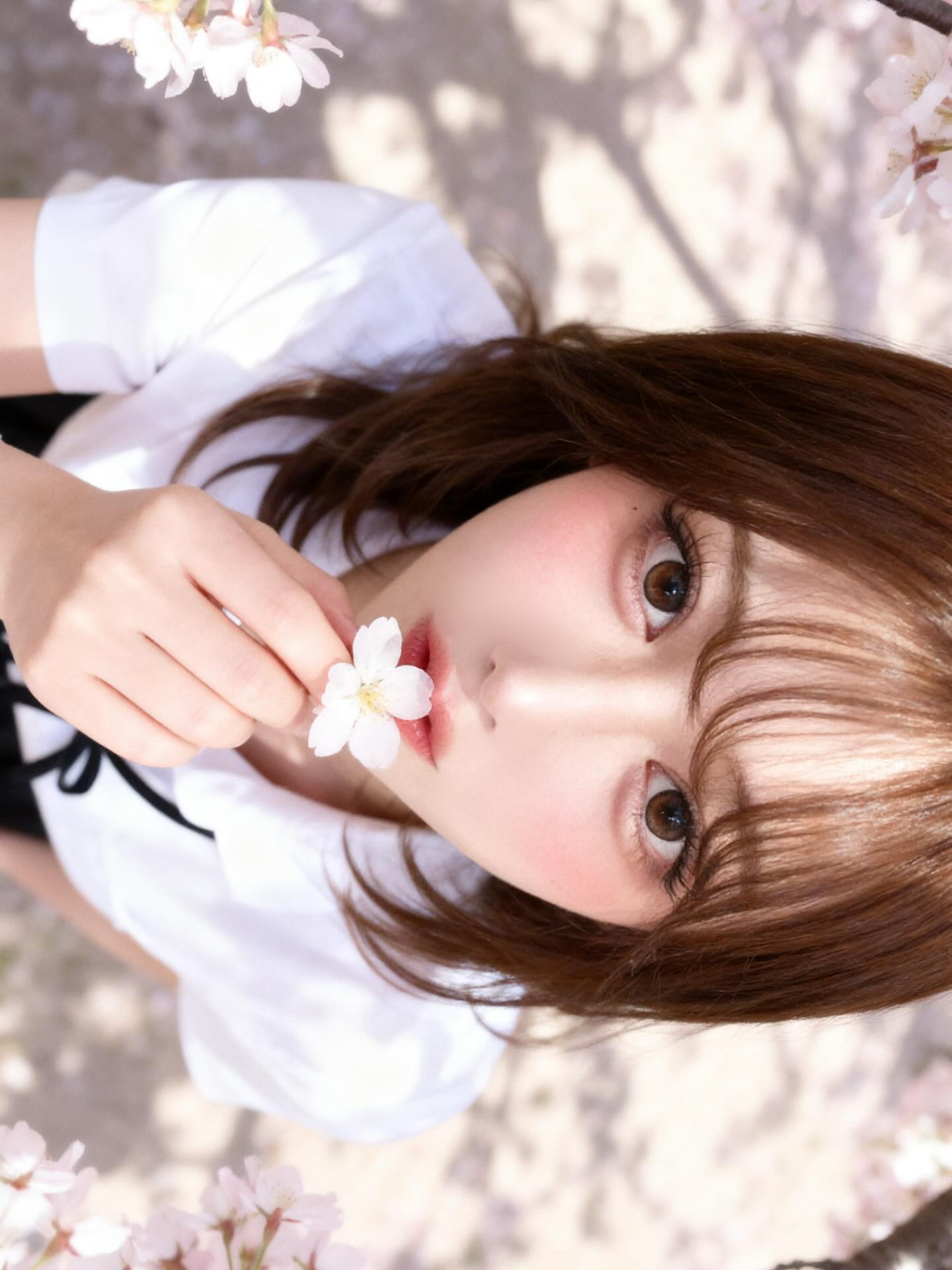 杏紗