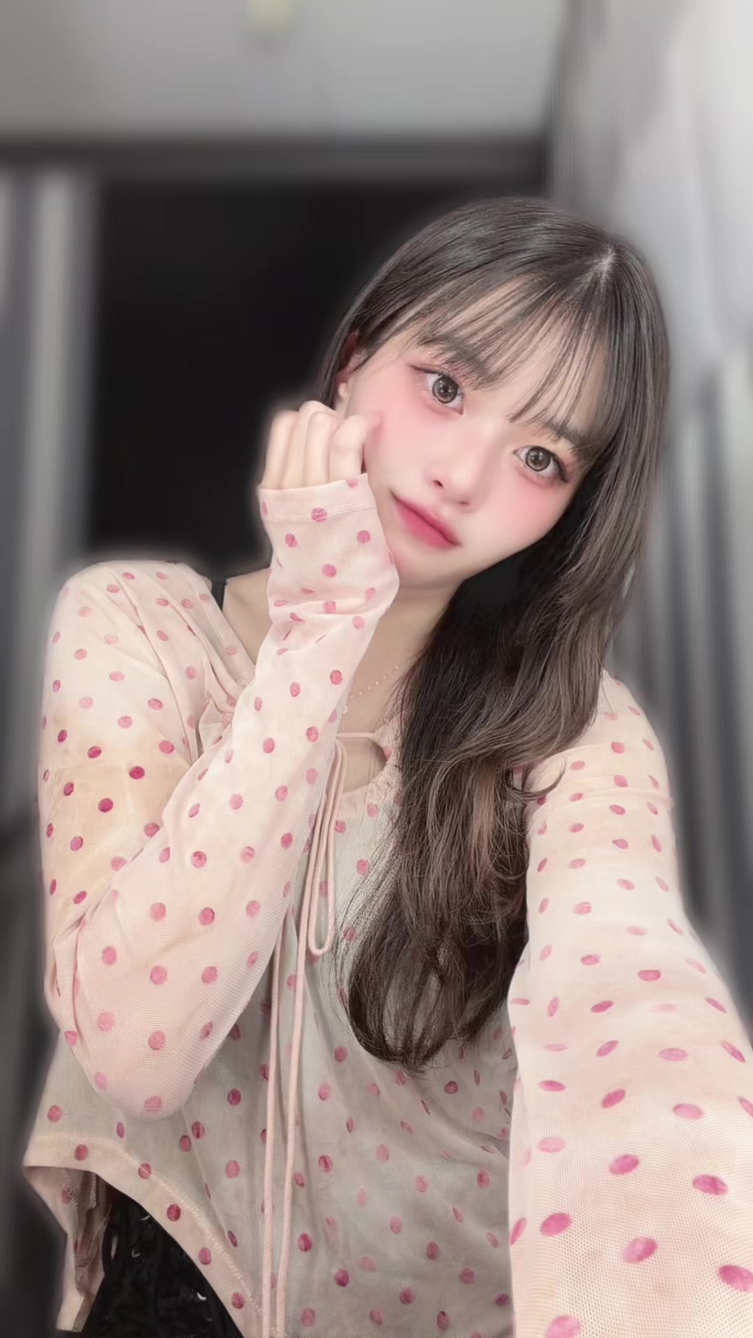 一条 葵