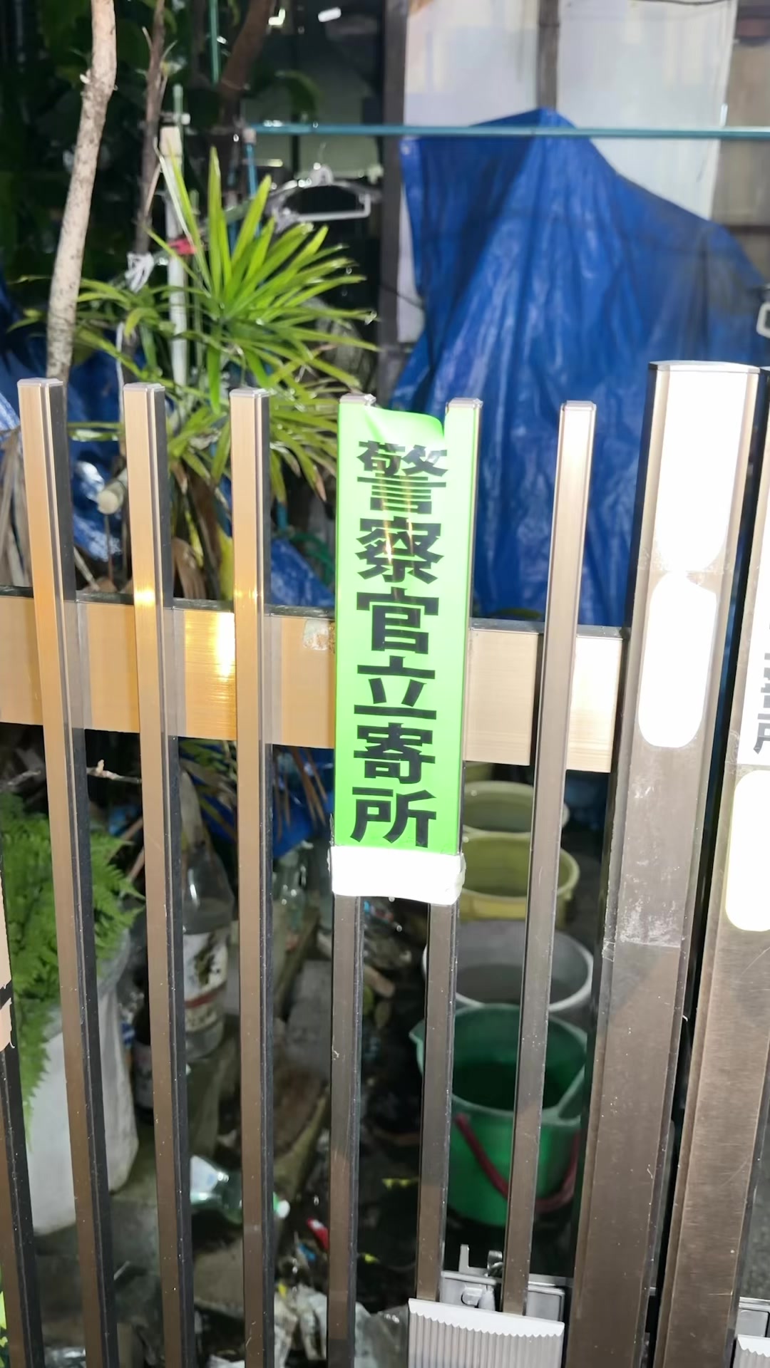 Cafe and Bar Trace ホットニュース 235783