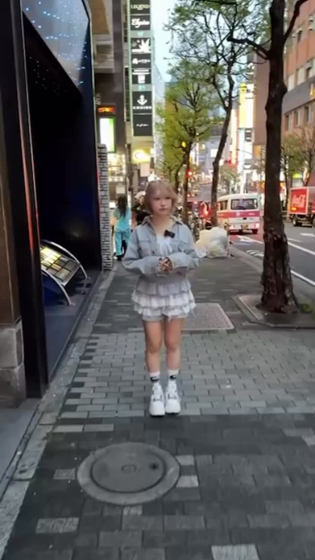 華灯 ホットニュース 236329