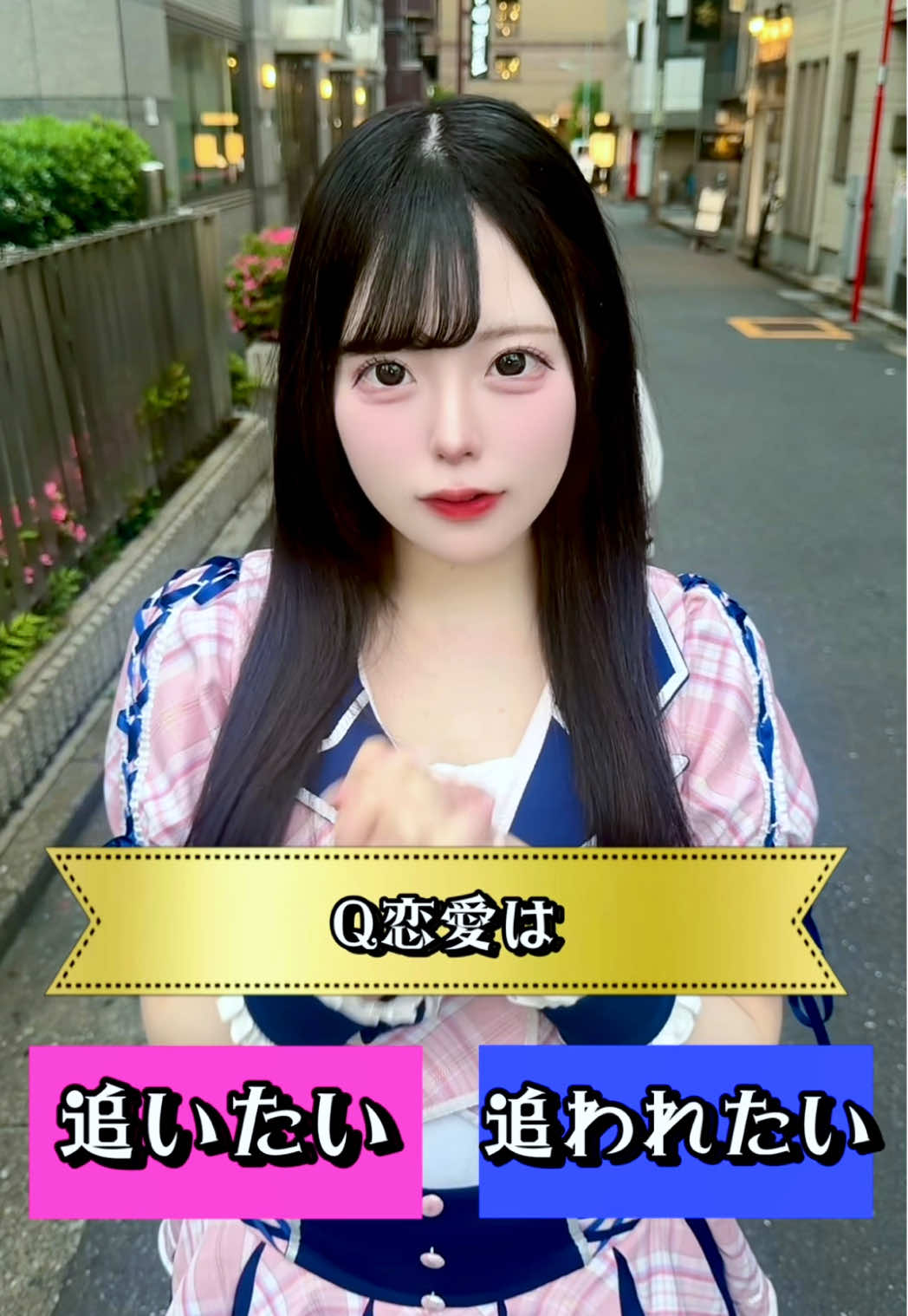 Cafe＆Bar Doll's Cafe ホットニュース 236386