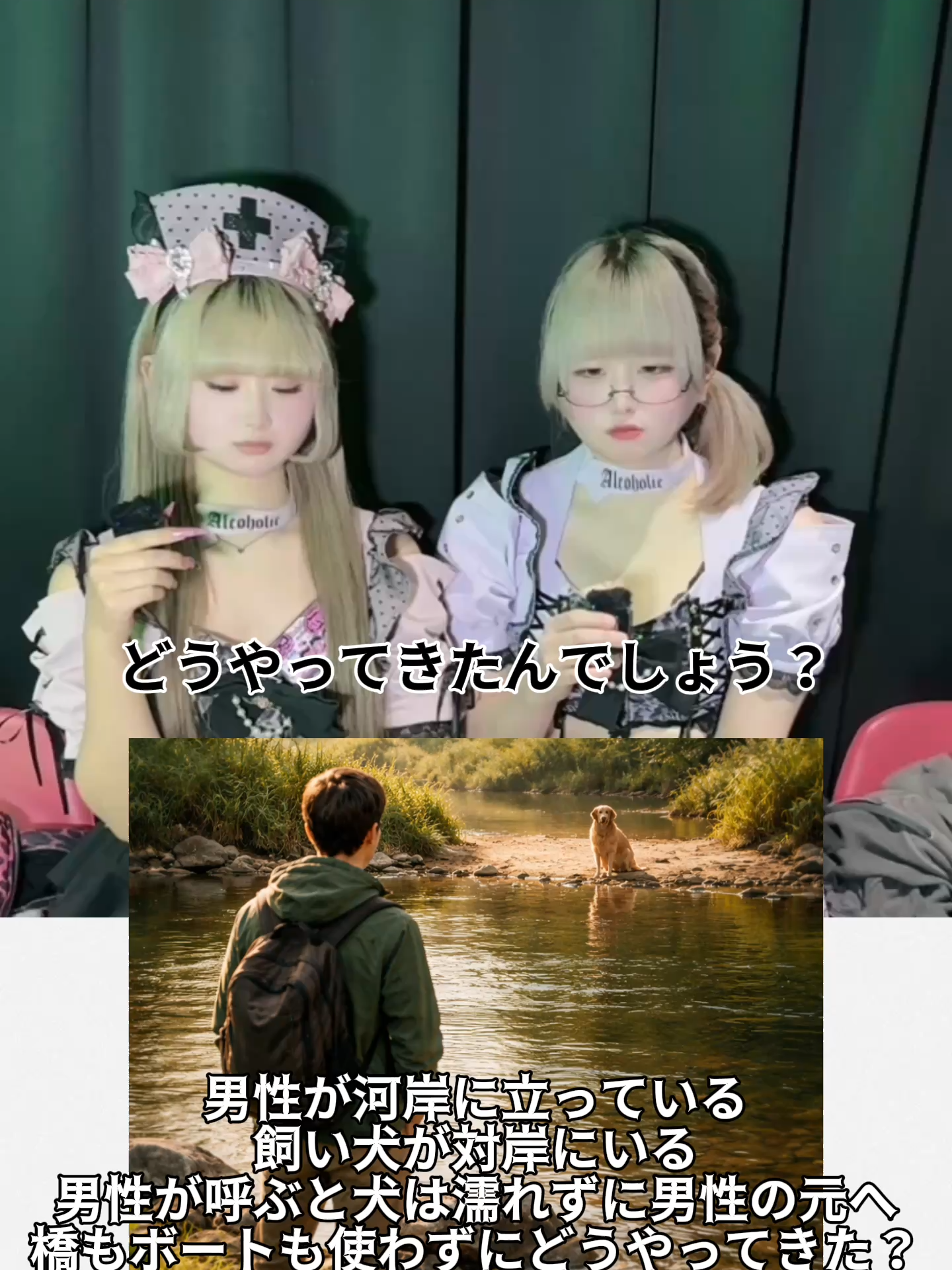 Cafe&Bar あるこほりっく ホットニュース 236871
