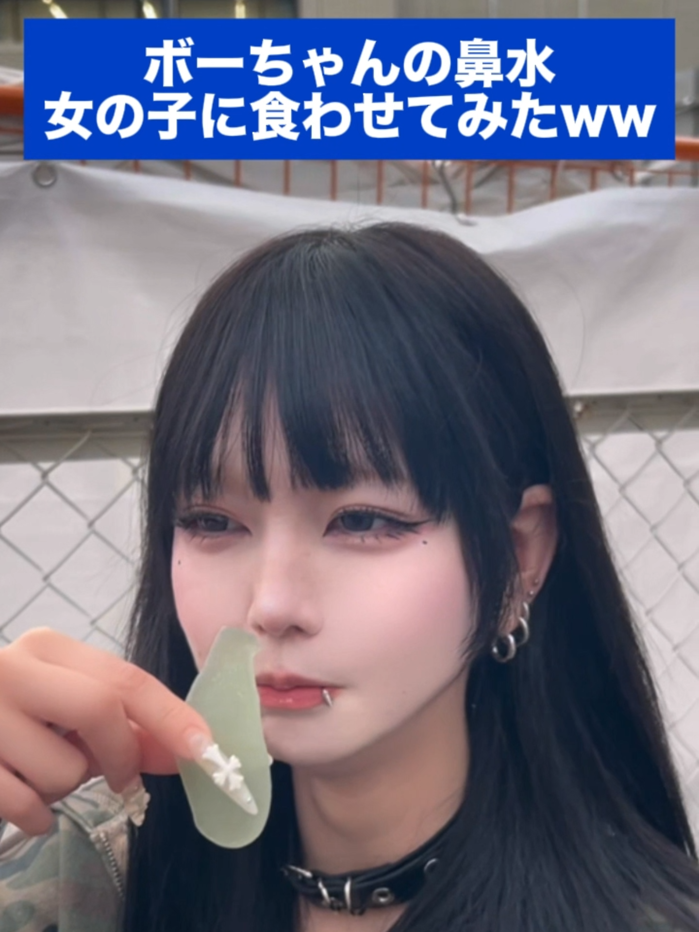 あんど&ねこ ホットニュース 236892