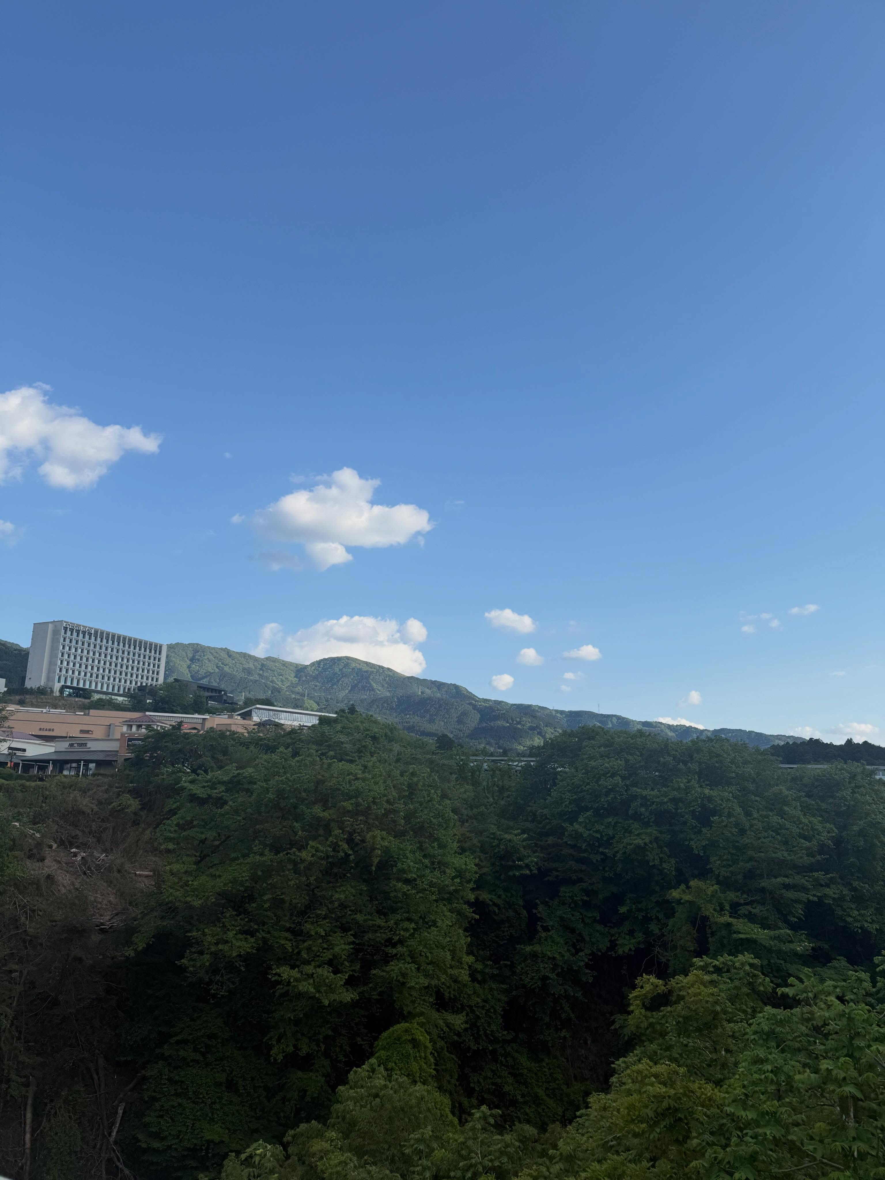 一条 葵