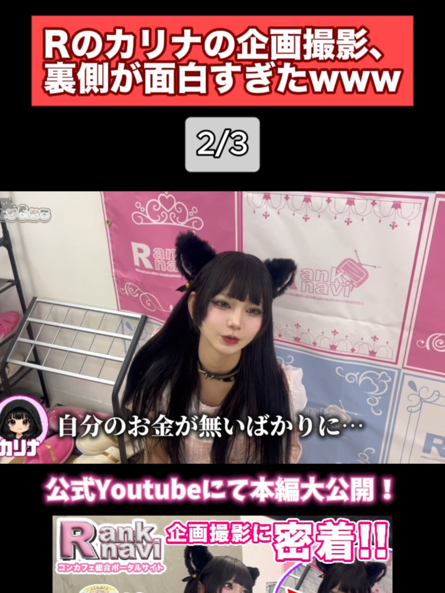 あんど&ねこ ホットニュース 237320