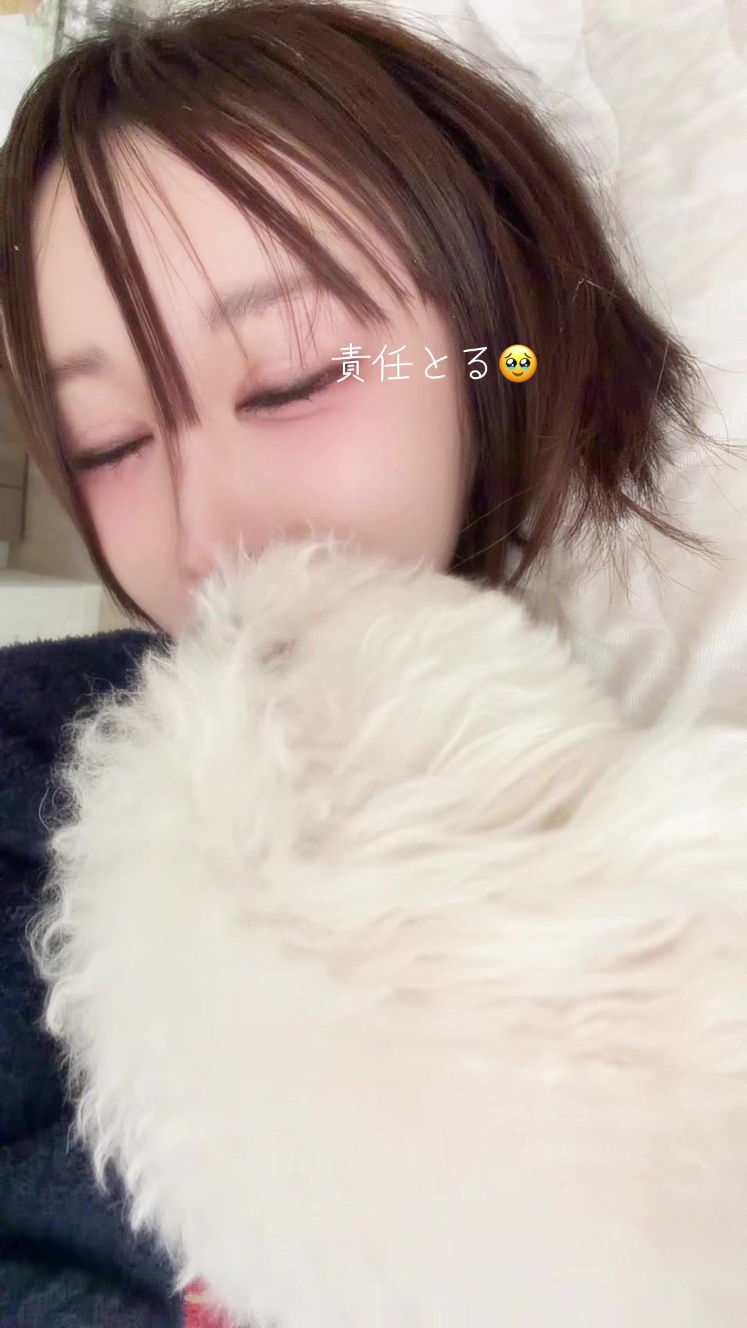 一条 葵