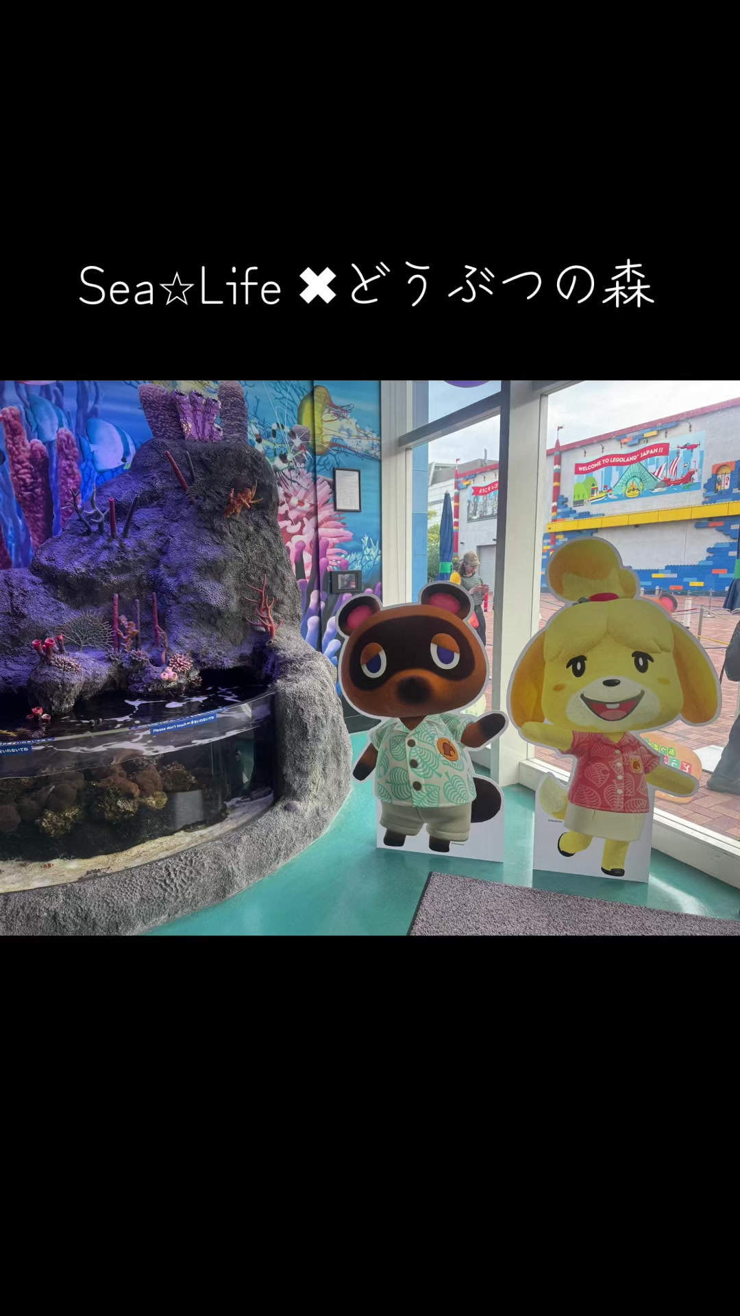 一条 葵