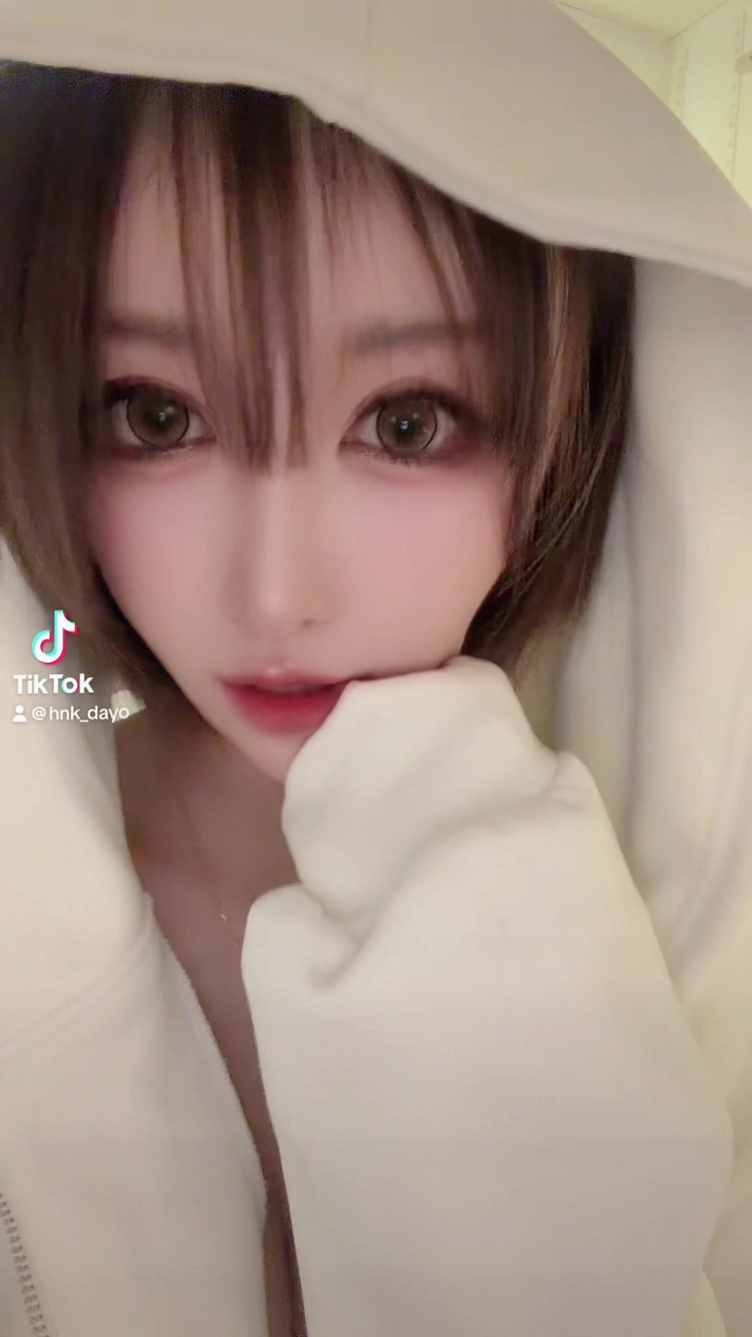 一条 葵