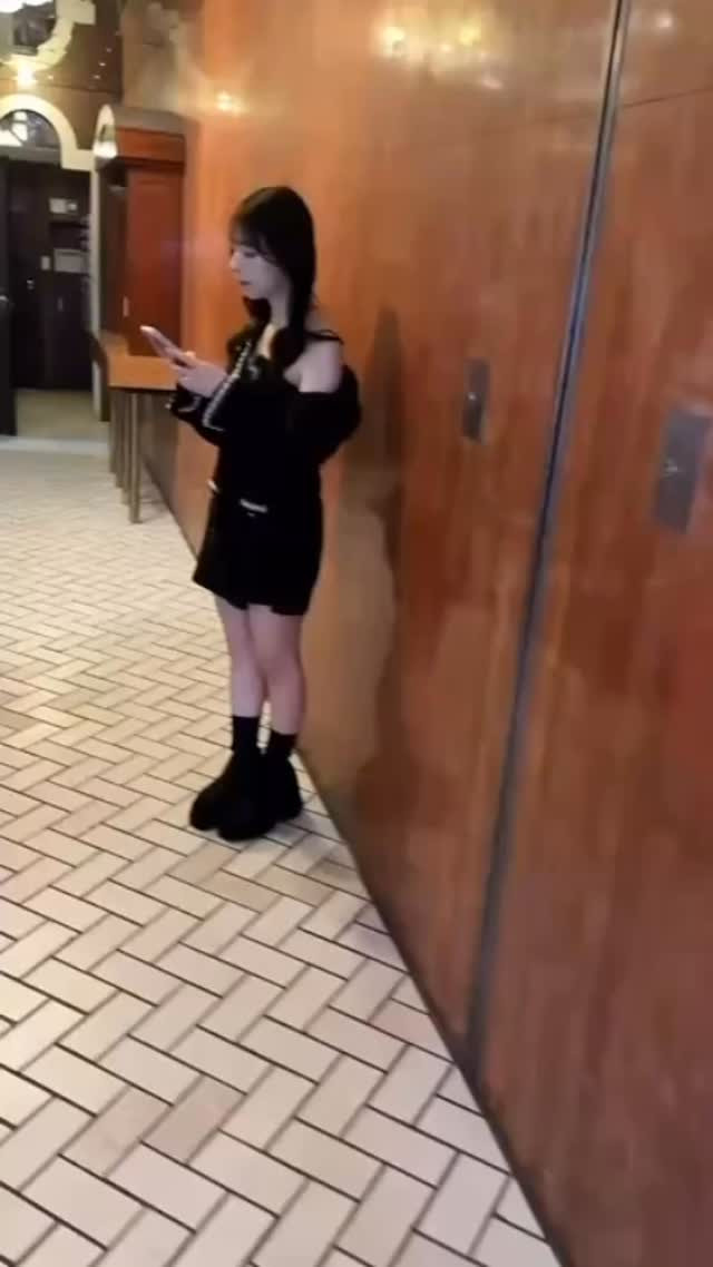 華灯 ホットニュース 240252