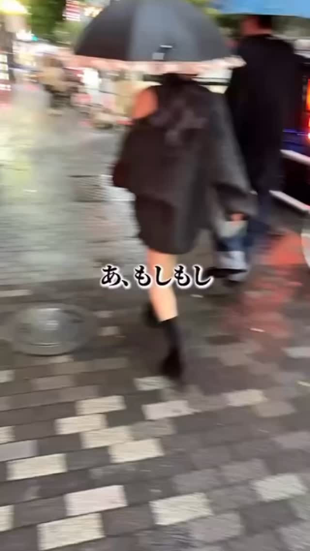 華灯 ホットニュース 240253