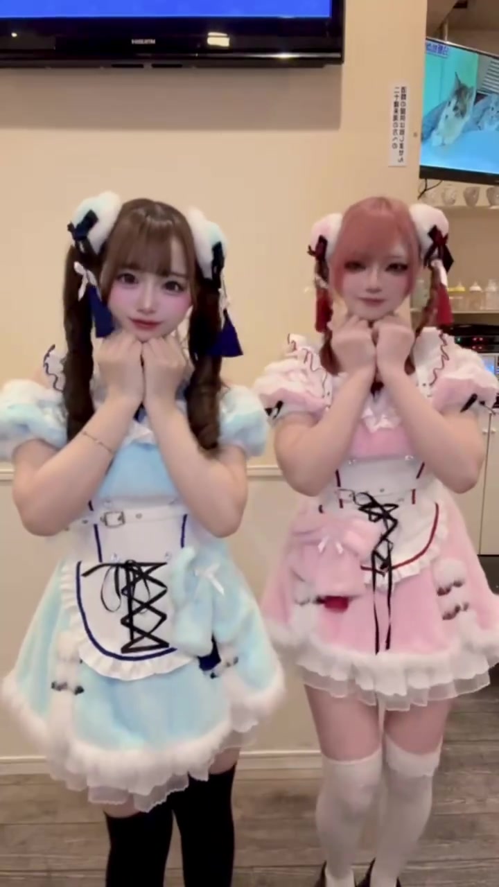 Cafe＆Bar Doll's Cafe ホットニュース 242219