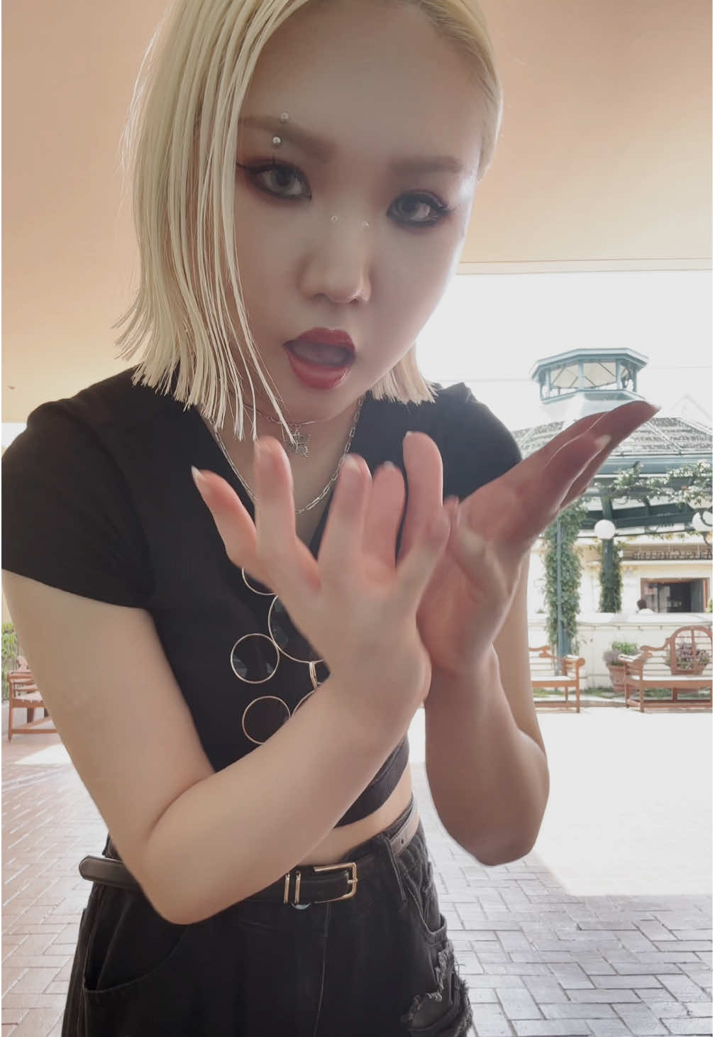 一条 葵