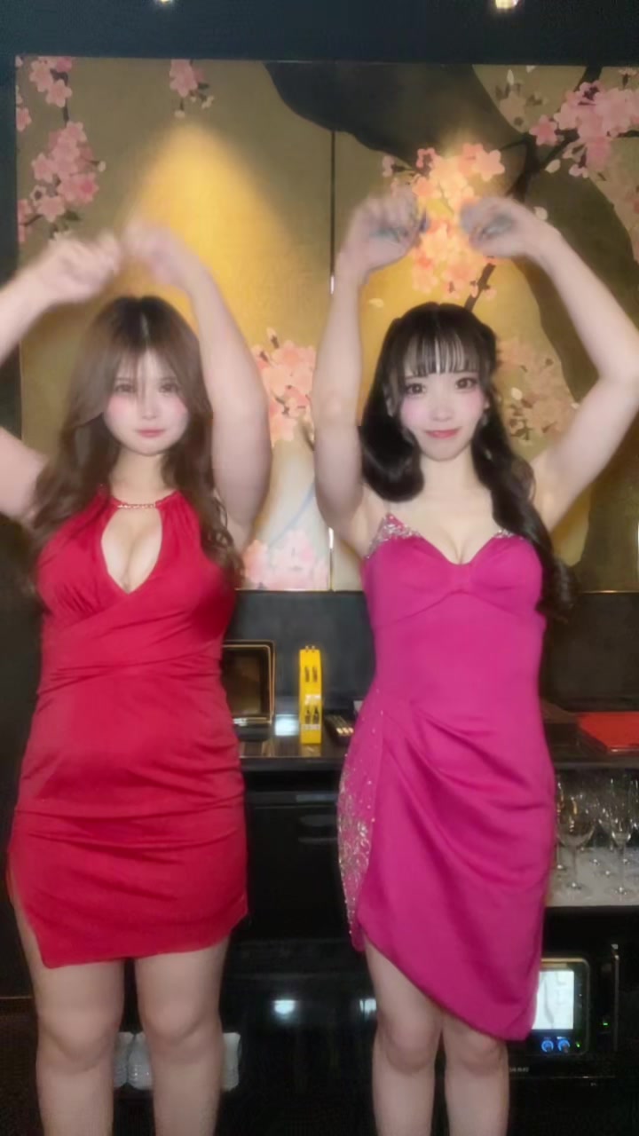 美人茶屋 ホットニュース 243380