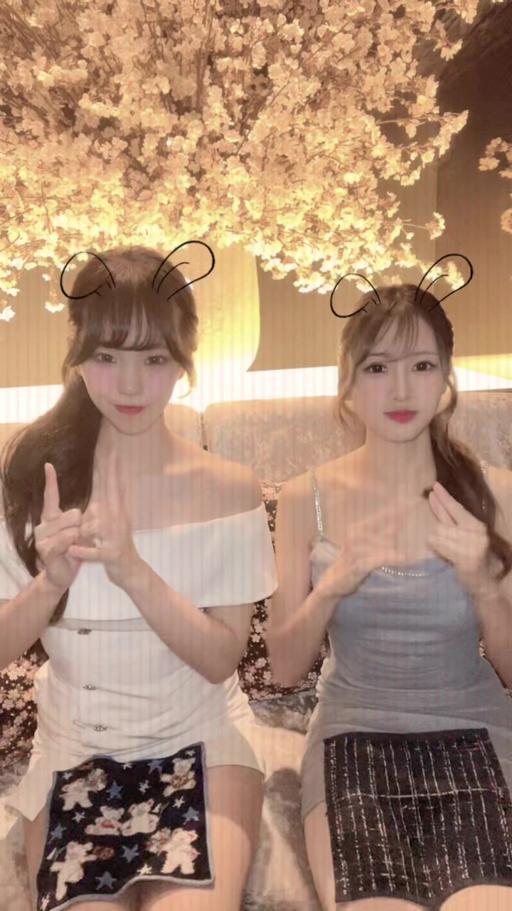 美人茶屋 ホットニュース 244232
