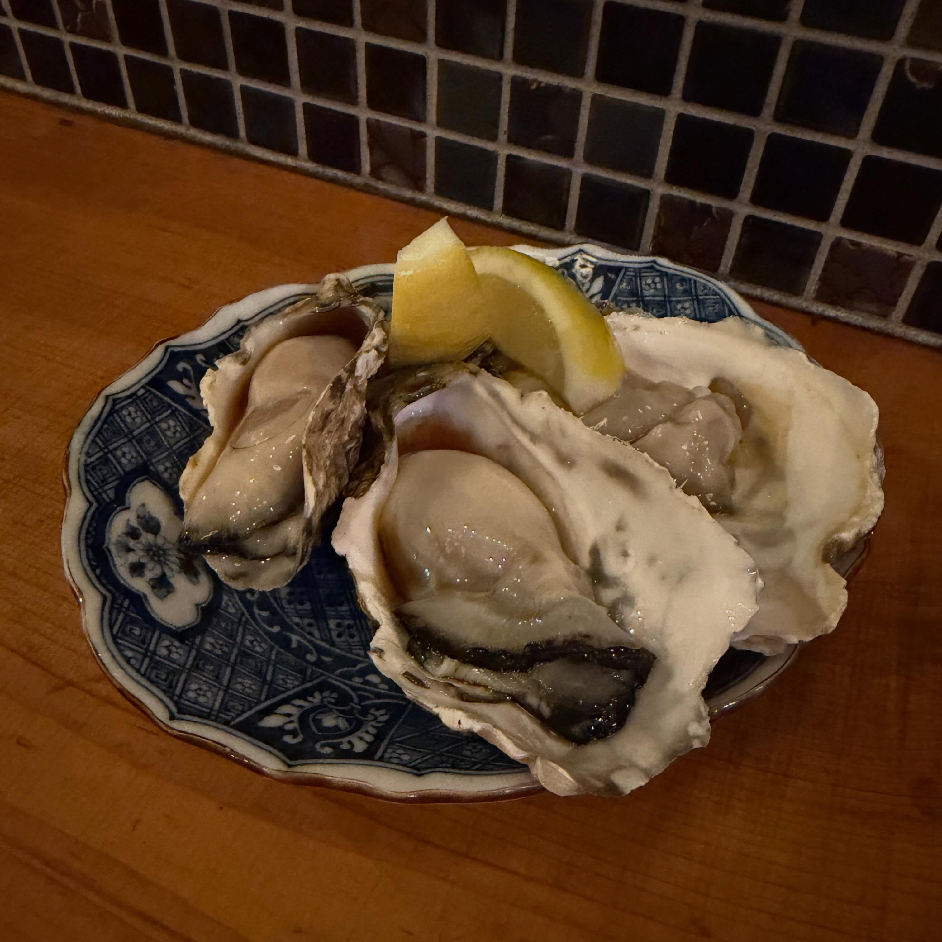 一条 葵