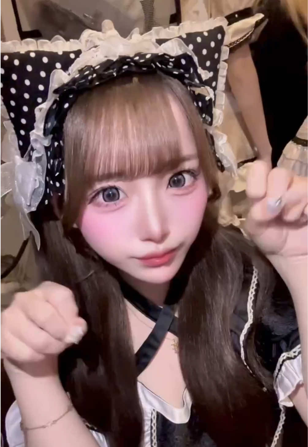 Cafe＆Bar Doll's Cafe ホットニュース 245747