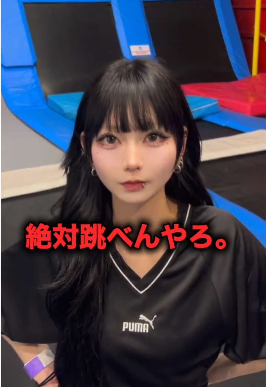 あんど&ねこ ホットニュース 245943