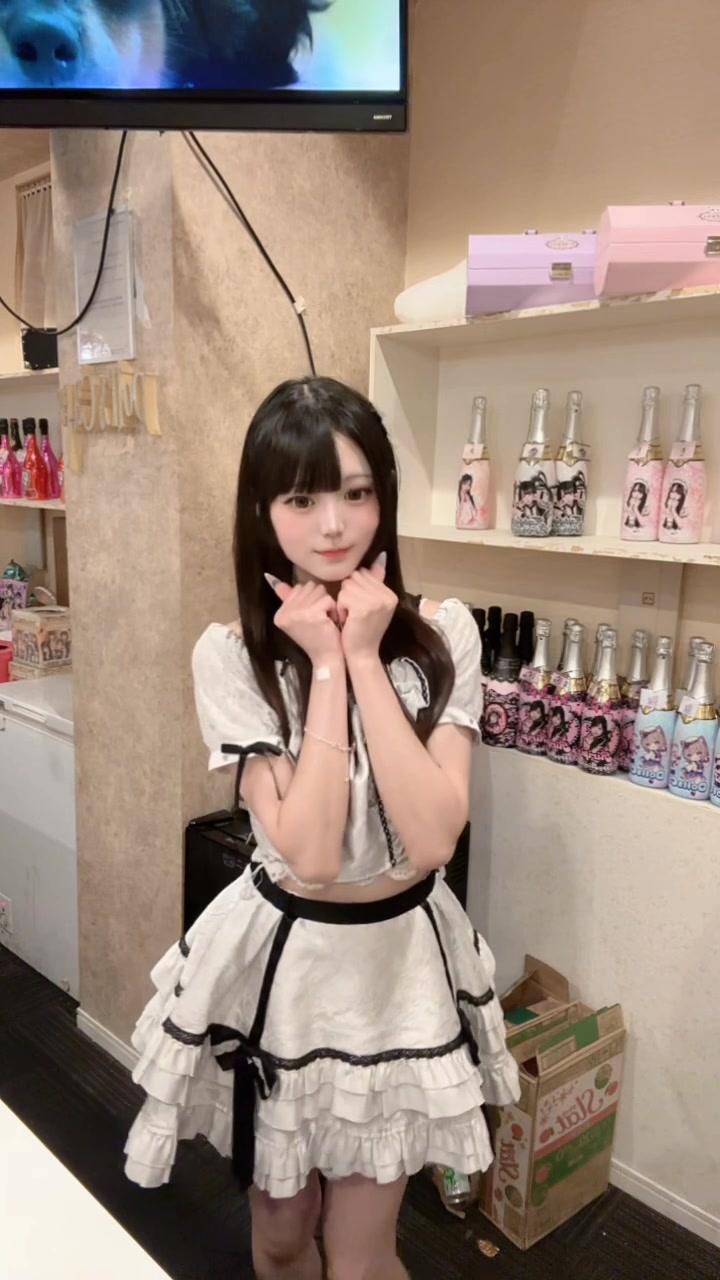Cafe＆Bar Doll's Cafe ホットニュース 246548