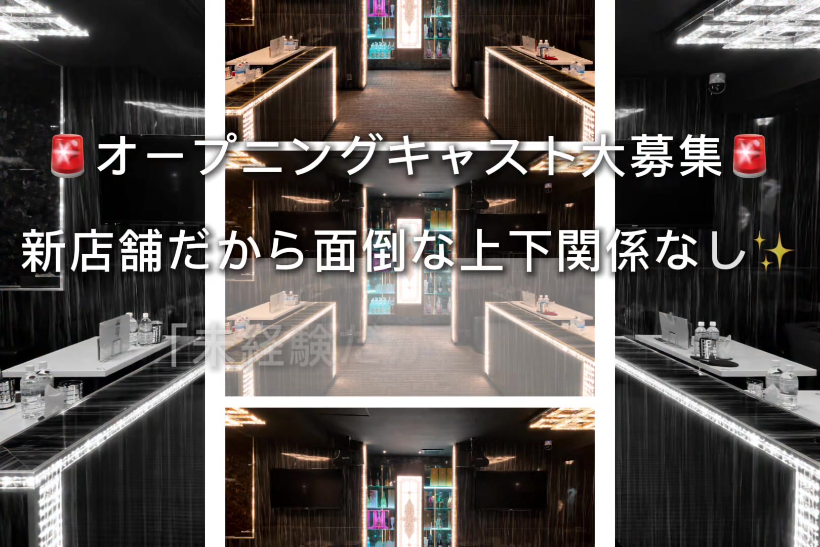 REVIA ホットニュース 247192