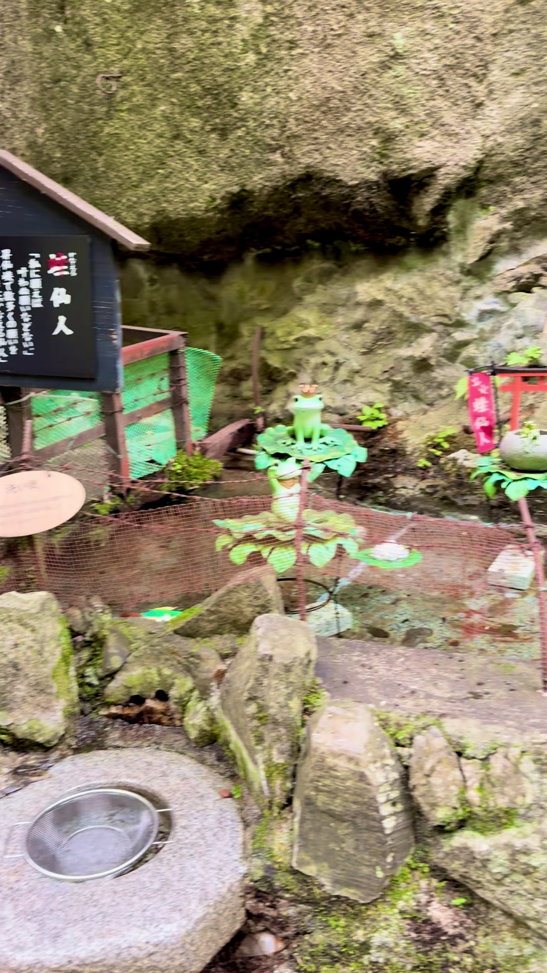 愛瀬 椿