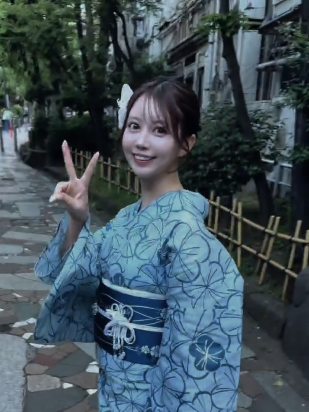 美人茶屋 ホットニュース 247370
