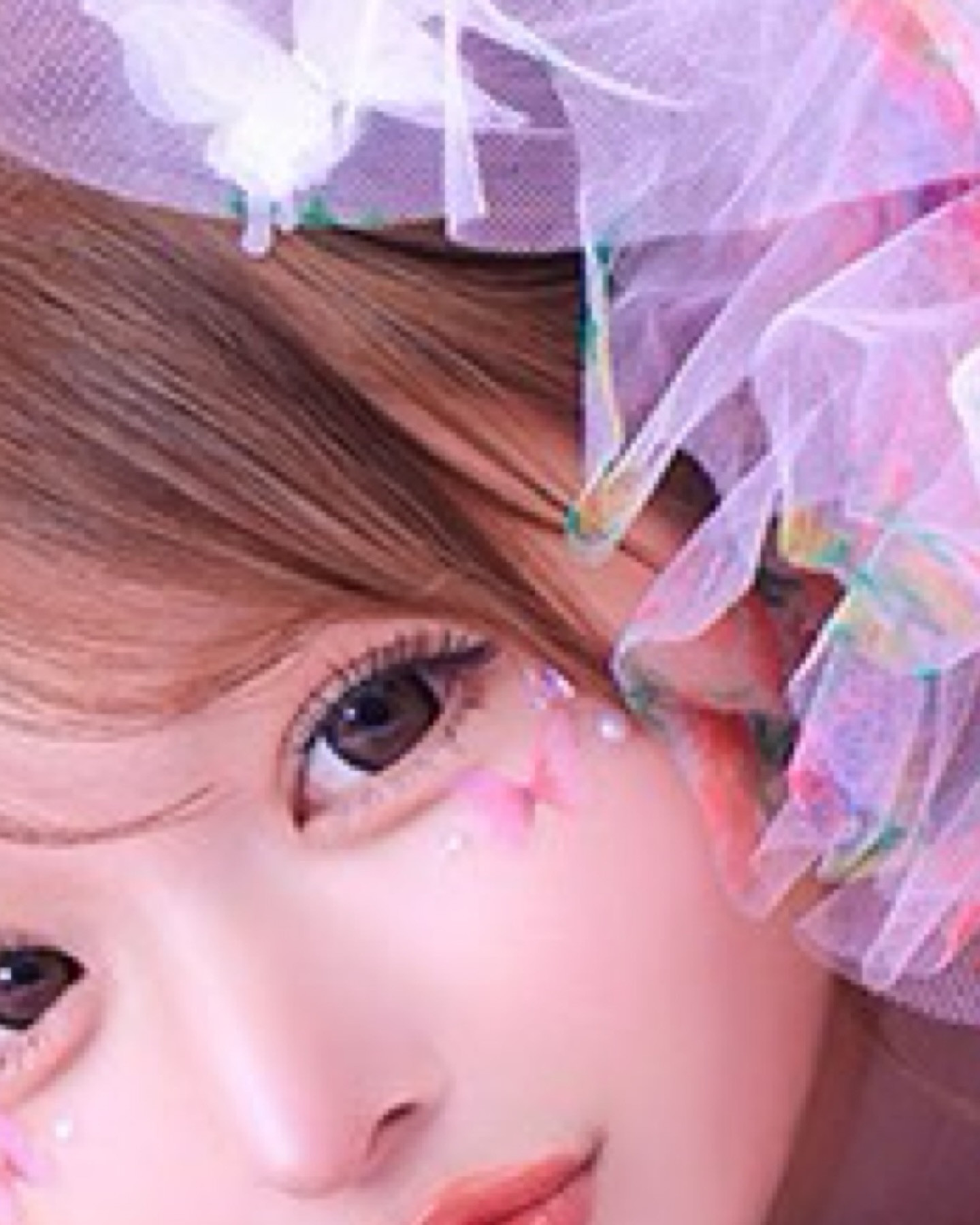 ARCADIA ホットニュース 247531