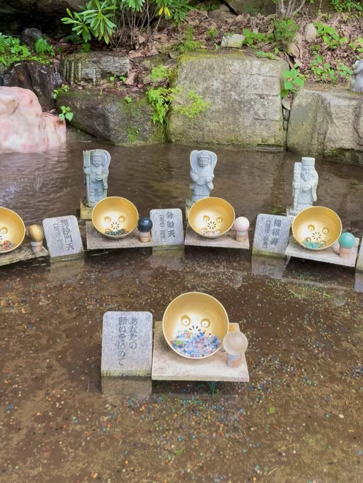 愛瀬 椿