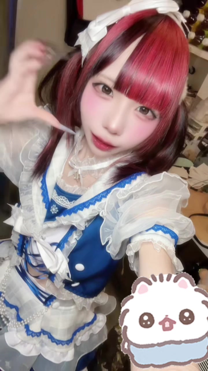 一条 葵