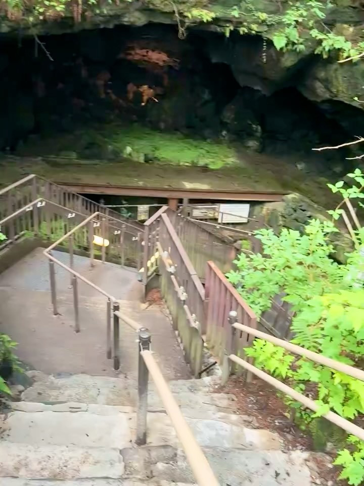 一条 葵