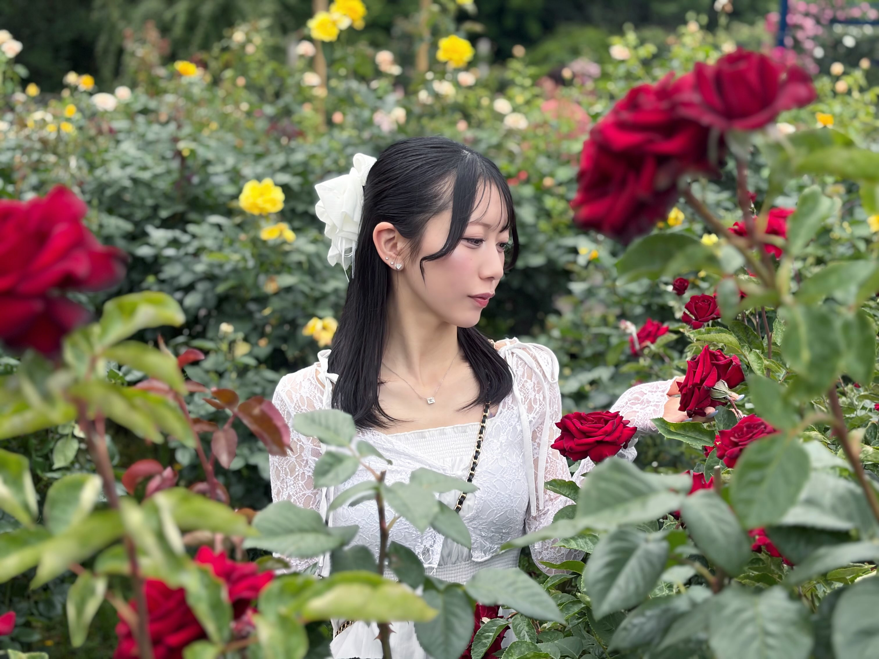 蘭◯日記1709731