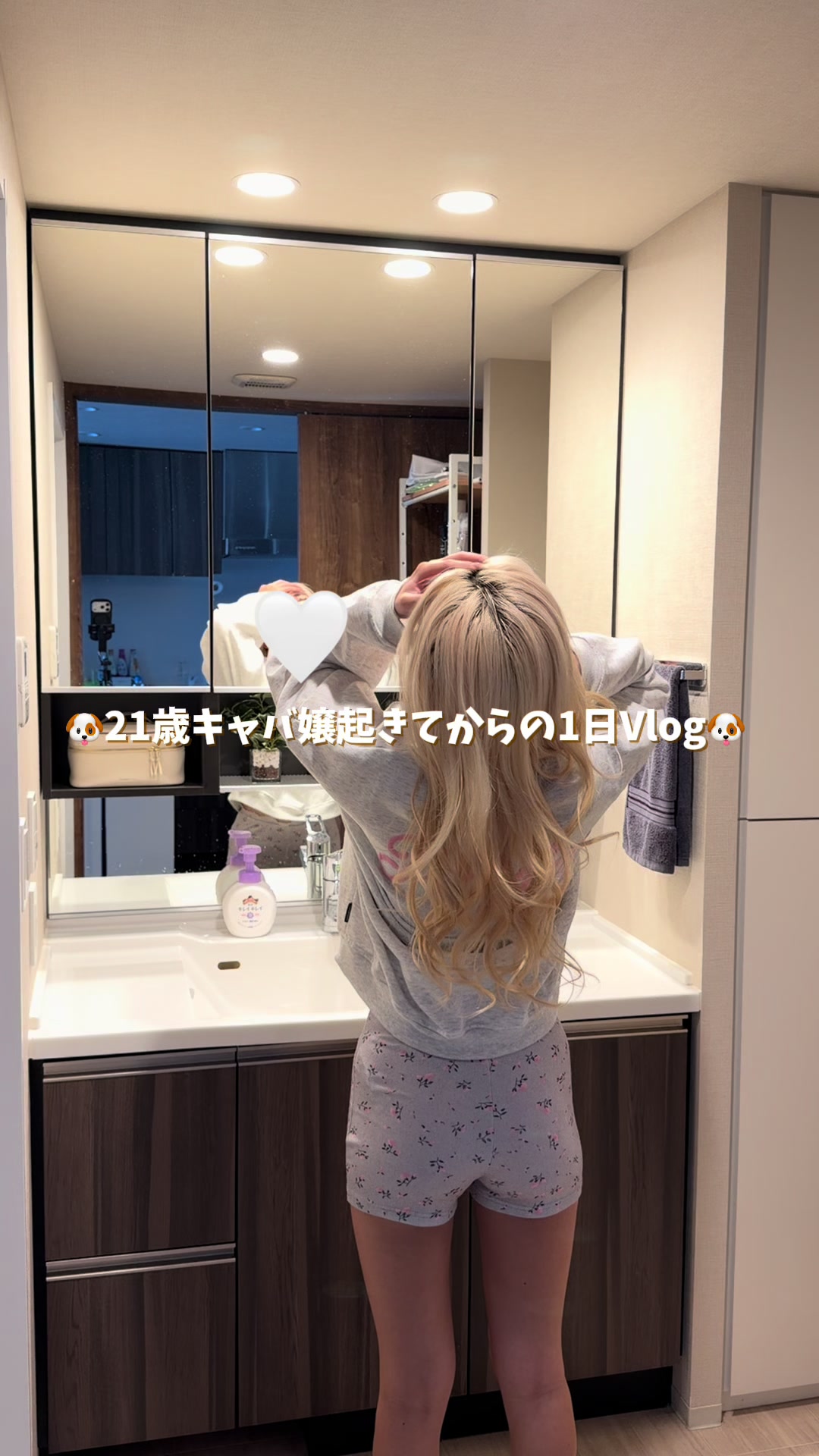 Vanilla日記1712812