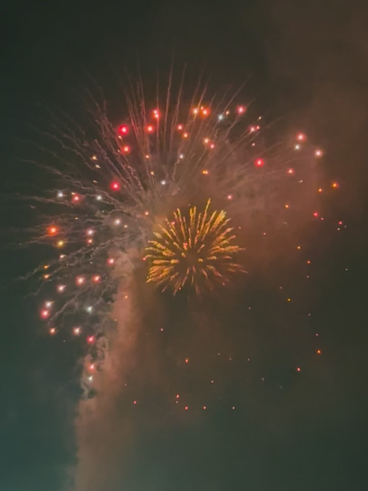 一条 葵