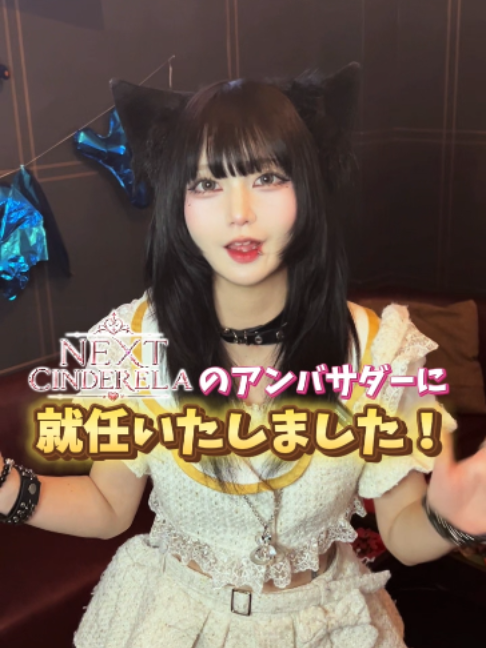 あんど&ねこ ホットニュース 254761