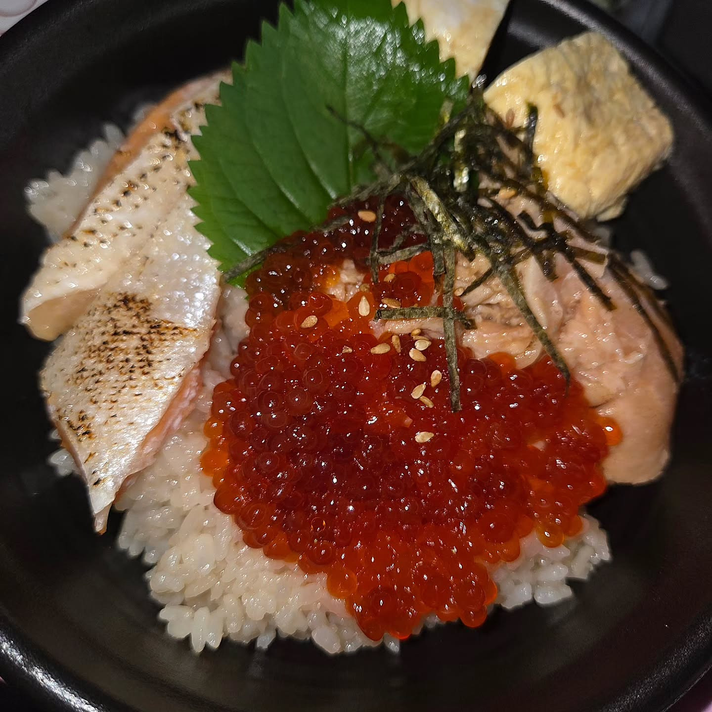 一条 葵