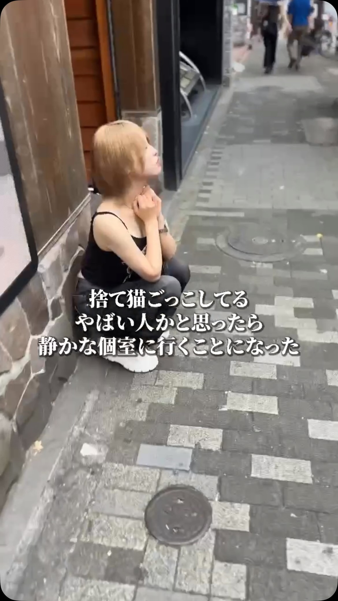 華灯 ホットニュース 256032