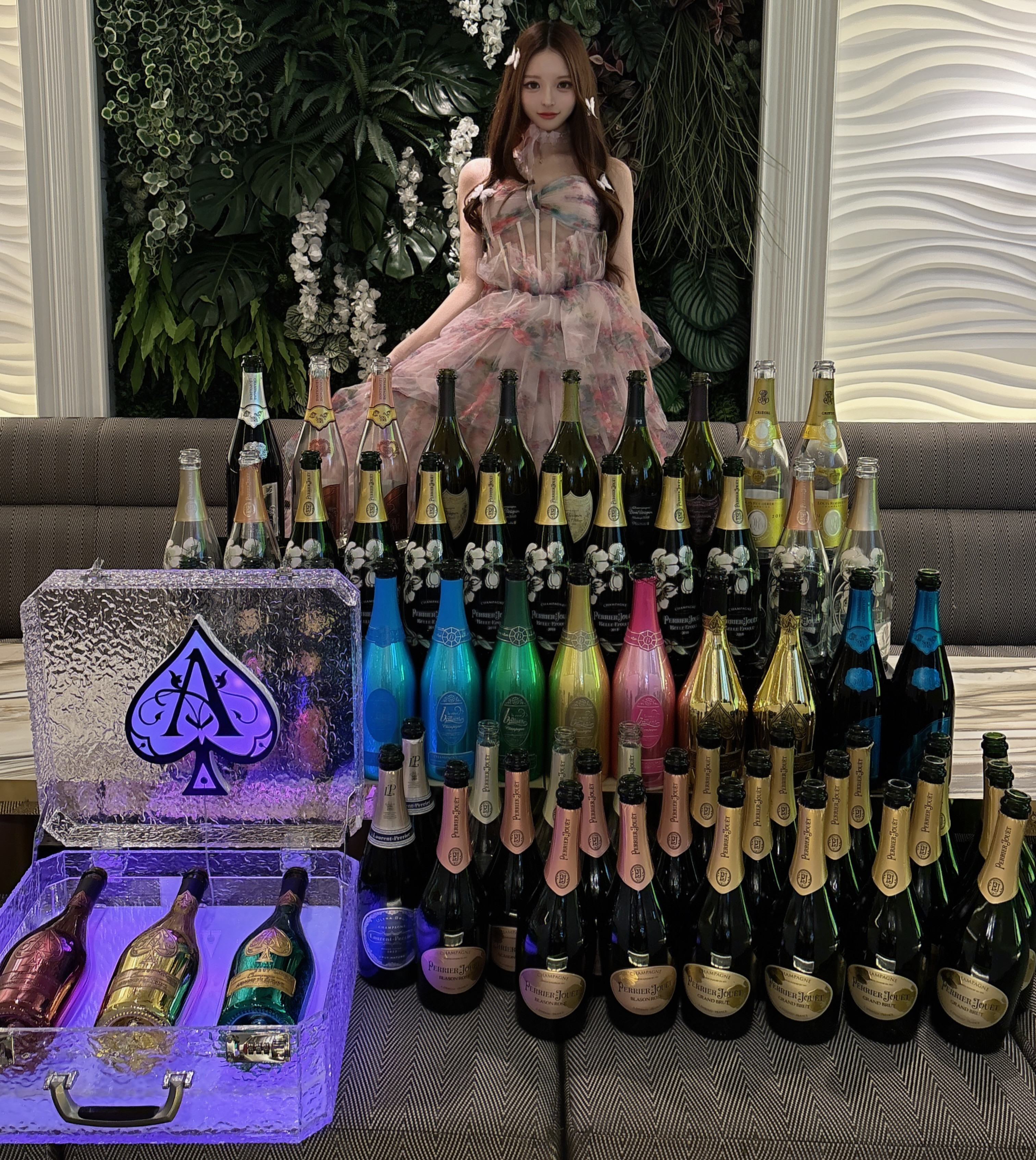 一条 葵