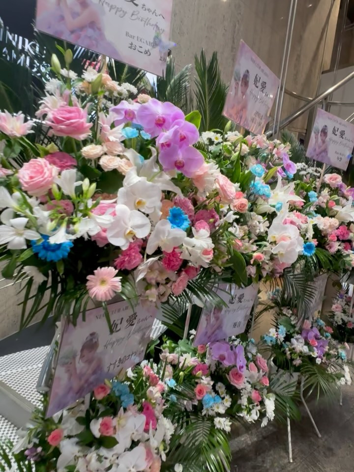 一条 葵