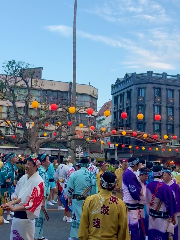 一条 葵