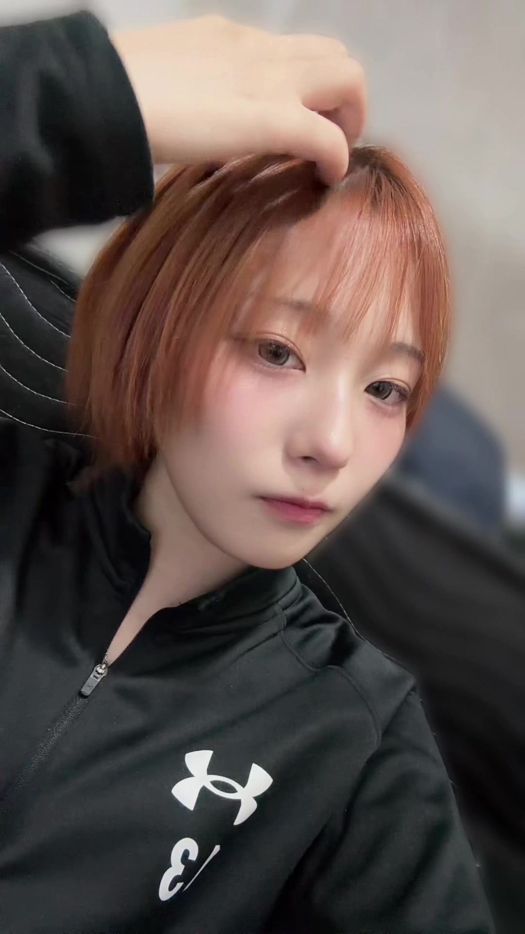 一条 葵