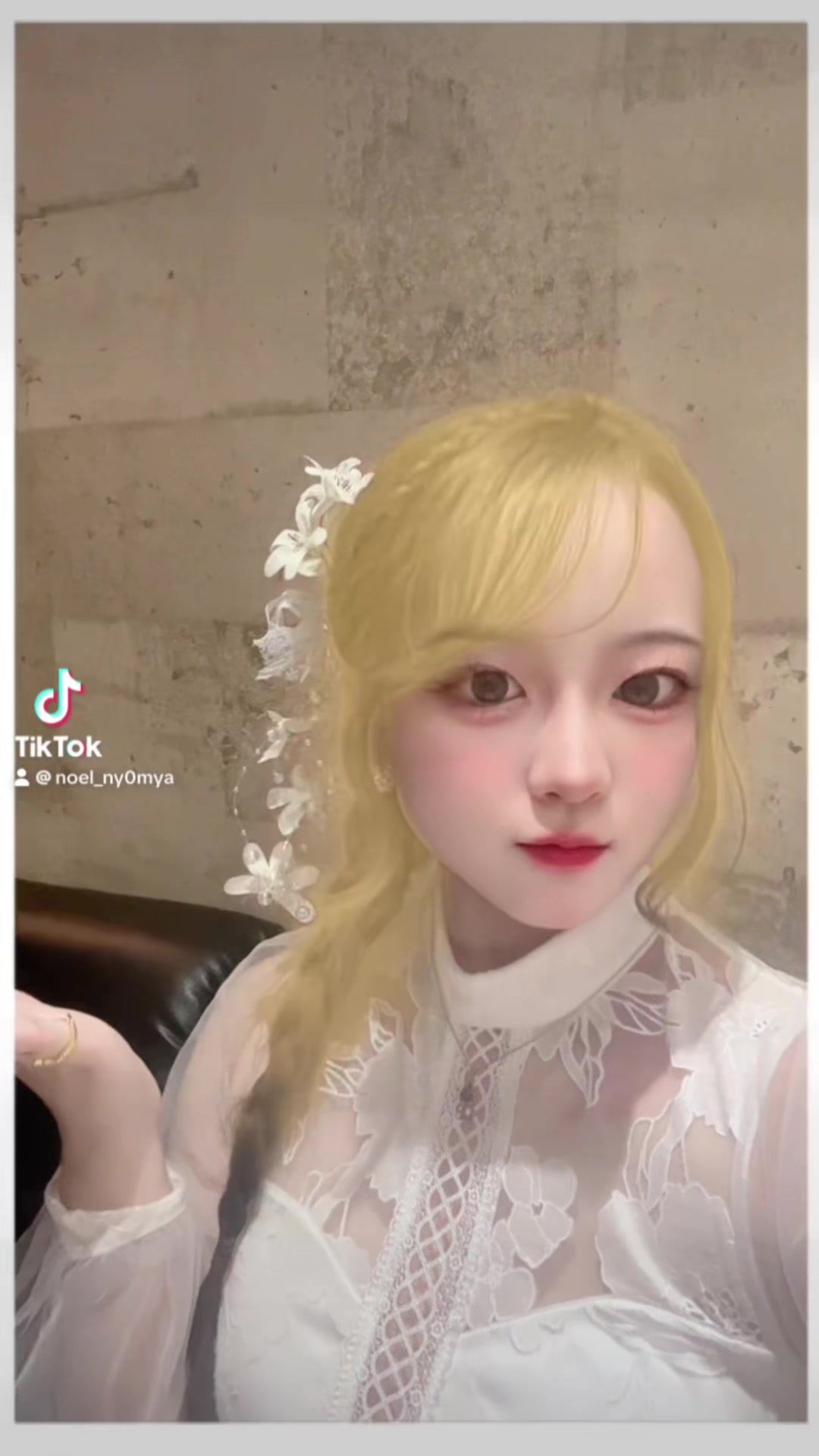 一条 葵