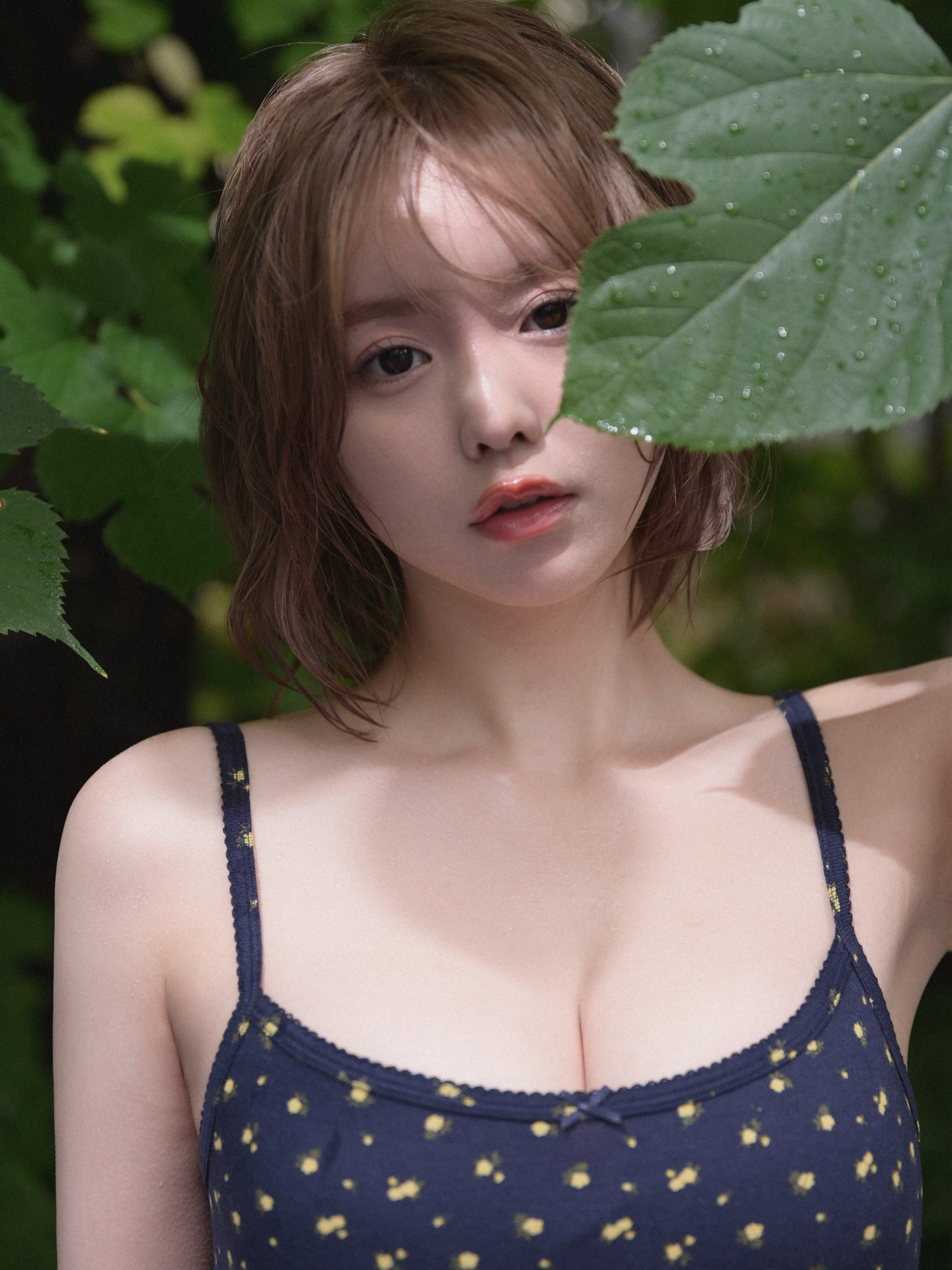 一条 葵