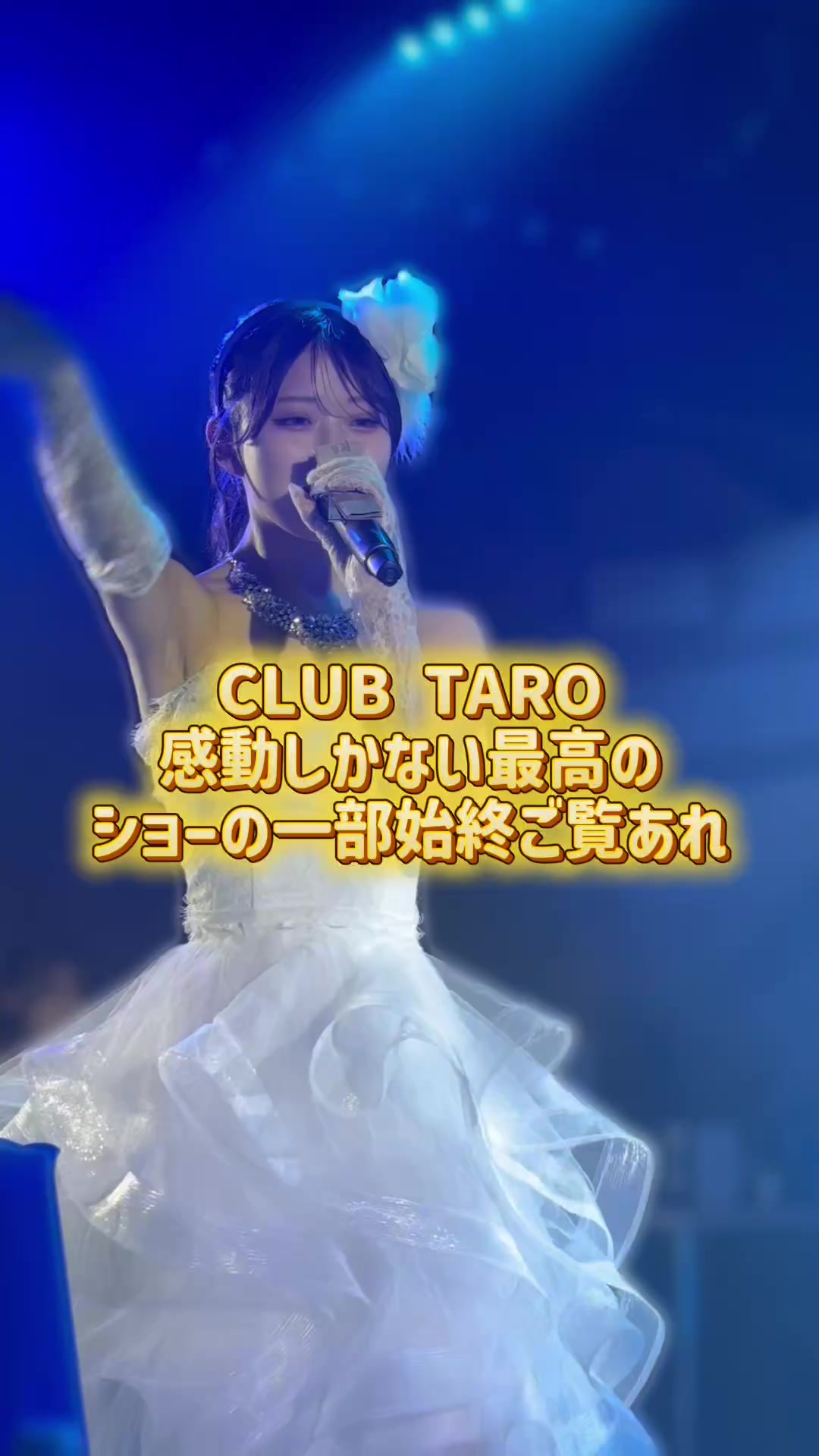 TARO ホットニュース 259925