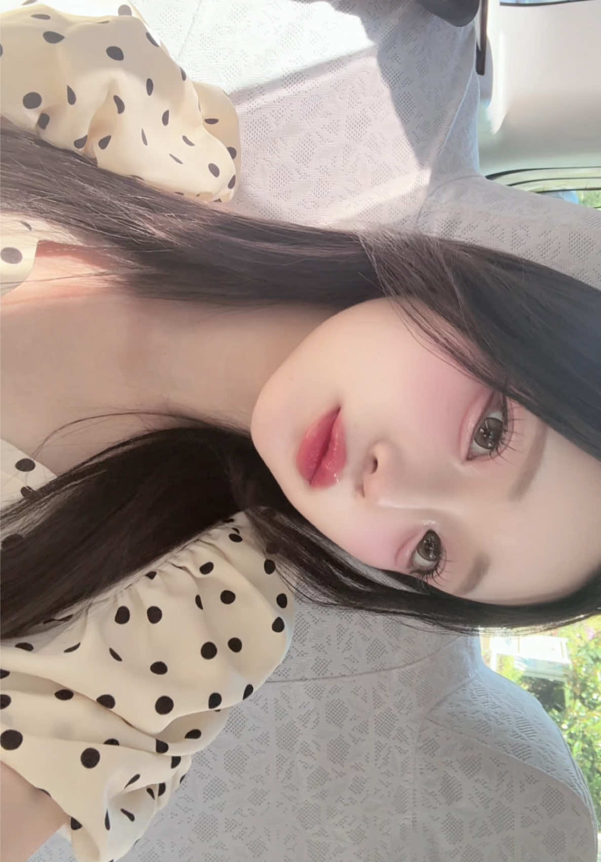 一条 葵