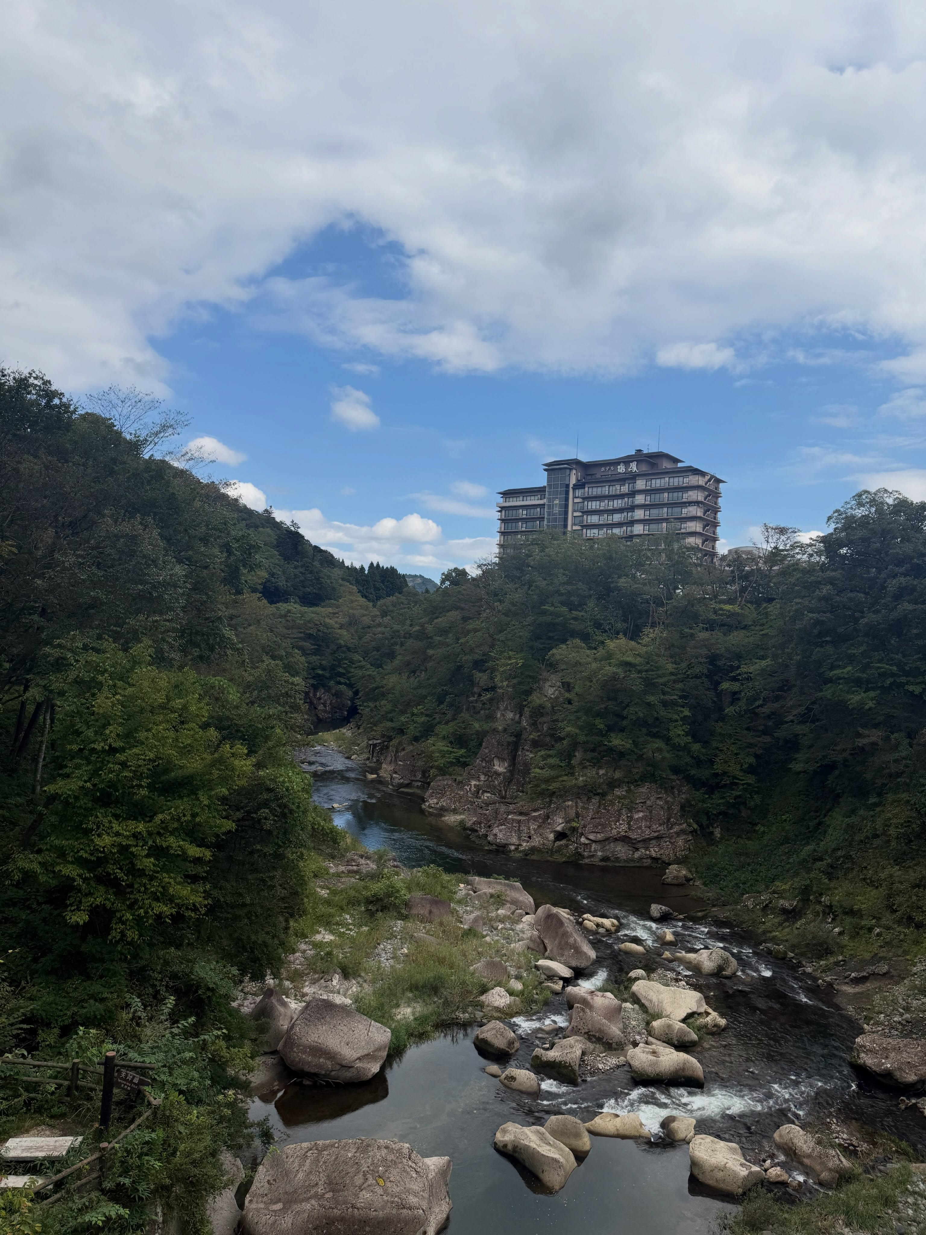一条 葵