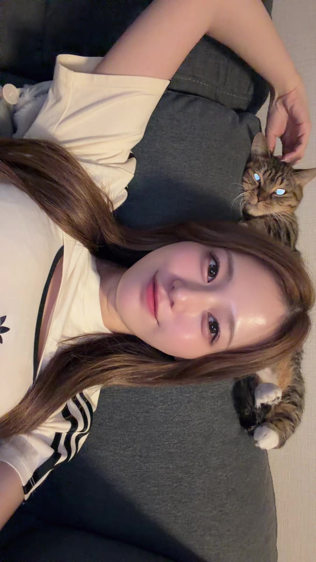 一条 葵