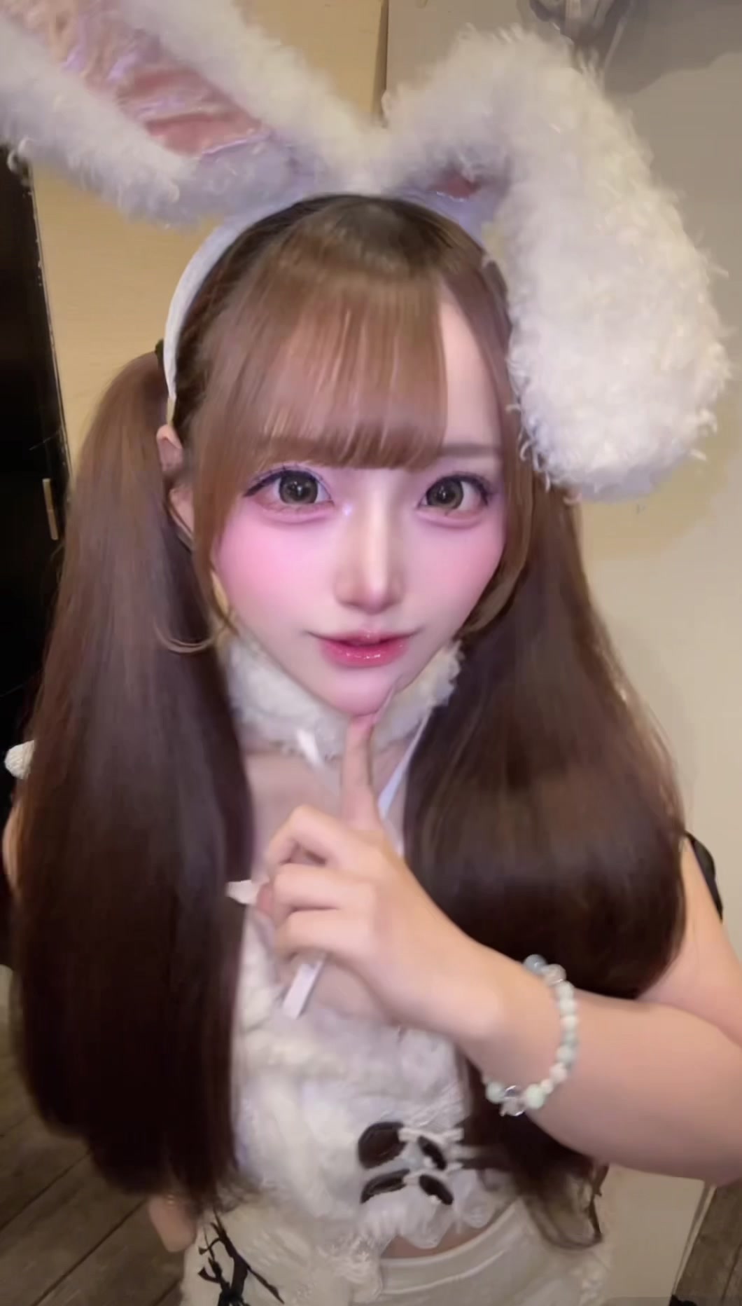 Cafe＆Bar Doll's Cafe ホットニュース 263432