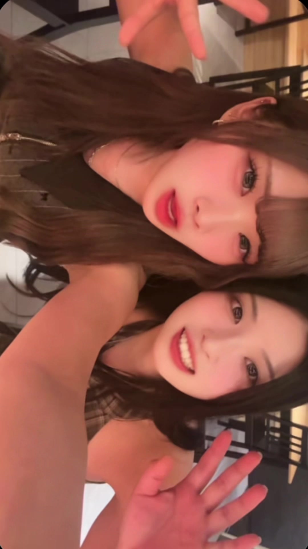 一条 葵