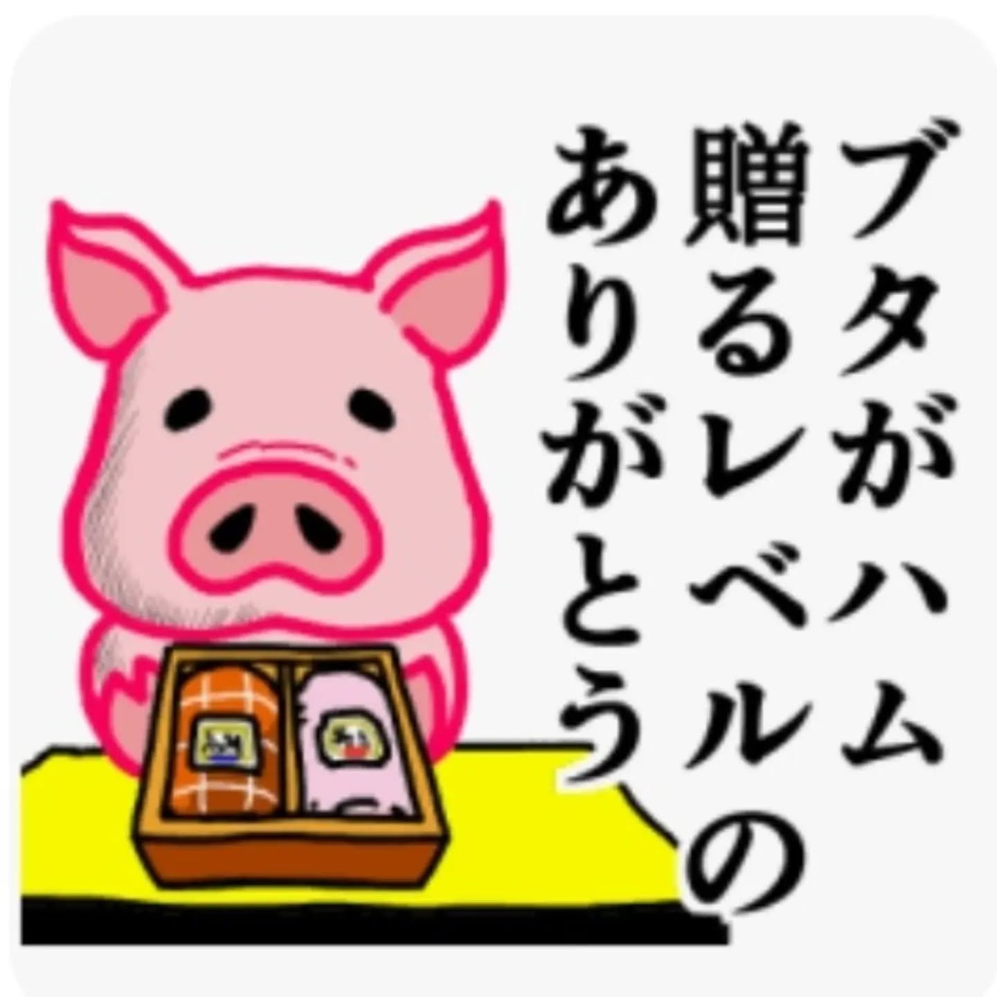 VEROUGE ホットニュース 264619